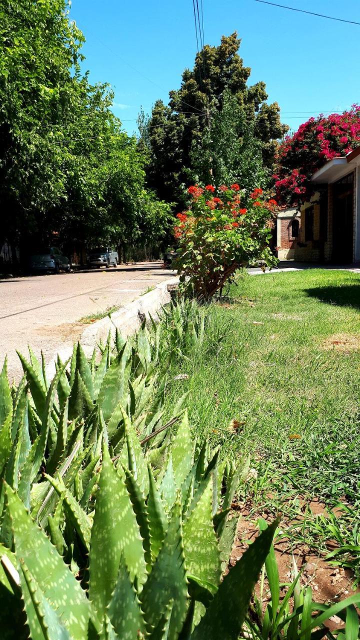 Departamento Encantador Monoambiente Domaine Laborde I Mendoza Eksteriør bilde